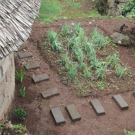 Mai Kilimanjaro Home Stay Marangu Exterior foto