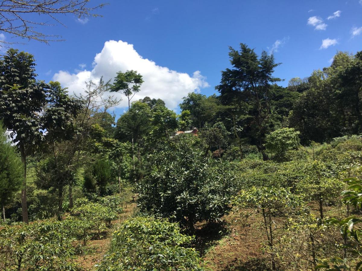 Mai Kilimanjaro Home Stay Marangu Exterior foto