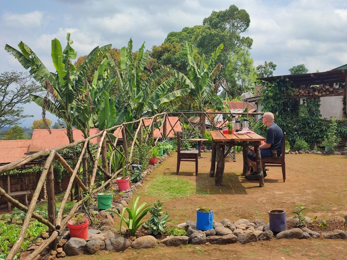 Mai Kilimanjaro Home Stay Marangu Exterior foto